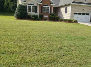 Josh S.'s Yard Cutting service result