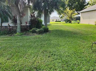 Cheryl E.'s Yard Cutting service result