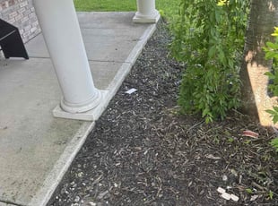 Weeding by Joseph Prather for Stephanie P. in Indianapolis, IN