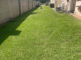 Nathan R.'s Lawn Maintenance service result