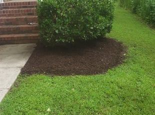 Weeding by Colleen Strickland for Chad M. in Charlotte, NC