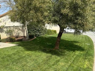 Sean M.'s Lawn Care service result