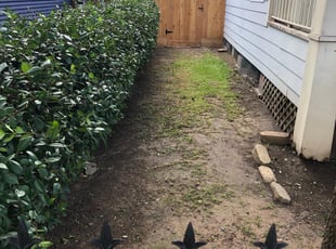 Bush Trimming by John Perry for Elizabeth H. in Houston, TX