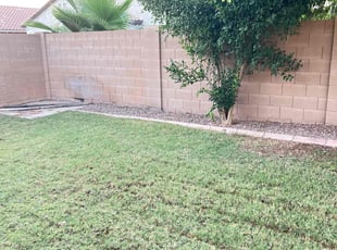 Leaf Removal by Jose Castro for Nicholas E. in Mesa, AZ