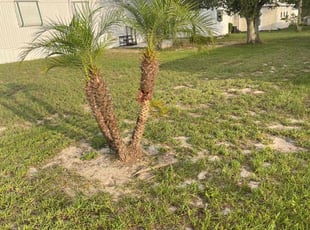 Bush Trimming by Johnny Richardson for John R. in Lake Wales, FL
