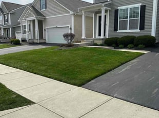 Tammy L.'s Lawn Mowing Service service result