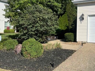 Bush Trimming by Brandon Fiala for Vivian B. in Saint Charles, MO