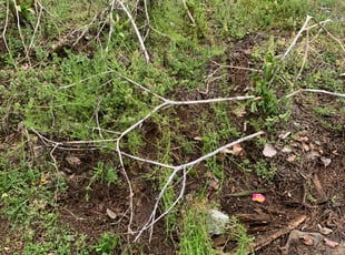 Cleanups by Chance Rosenberger for Scott M. in Concord, NC