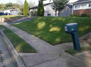 John S.'s Yard Cutting service result