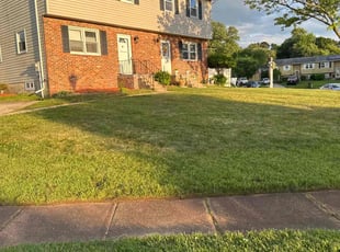 Craig B.'s Lawn Mowing service result