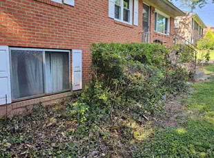 Cesar D.'s Bush Trimming service result