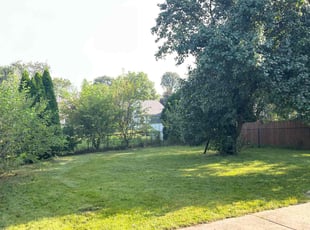 Tony C.'s Lawn Mowing service result