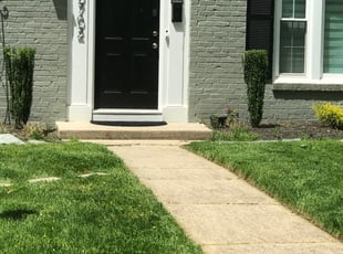 Bush Trimming by Kamonta Hackey for Kamya W. in Silver Spring, MD