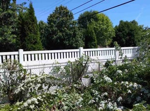 Jessica w.'s Bush Trimming service result