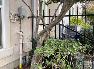 Bush Trimming by Paz Silva for Scott H. in Houston, TX