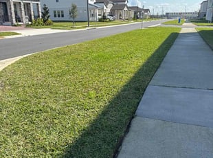 Karen F.'s Lawn Service service result