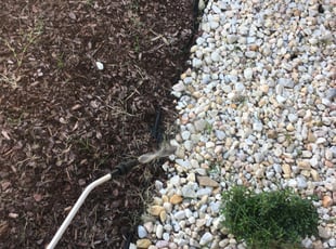 Weeding by Liam Dooley for Daytron P. in Fountain Inn, SC