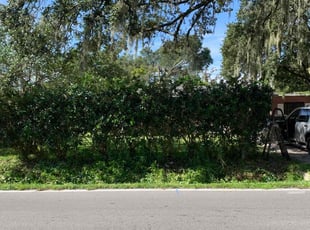 Bush Trimming by Tammy Melendez for Ryan A. in Lakeland, FL