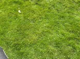 Cleanups by Kevin Wright for Brian . in Mayfield, OH