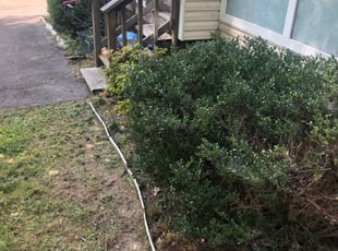Bush Trimming by Recardo Hunter for Katie B. in Richmond, VA