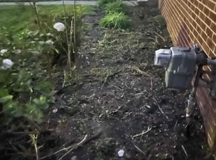 Leaf Removal by Michael Harris for Laurie A. in Royal Oak, MI
