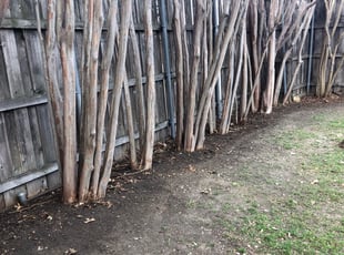 Leaf Removal by Juan Antonio Perez Vazquez for Eden C. in Carrollton, TX