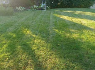 Pat H.'s Lawn Care service result
