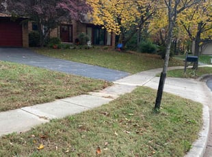Leaf Removal by David Trejo for Brendon C. in Rockville, MD