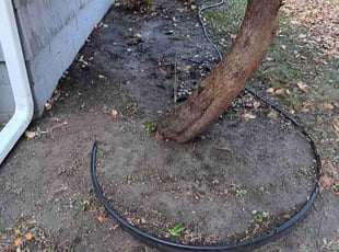 Weeding by James Rogers for Patrick M. in Minneapolis, MN
