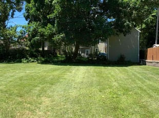 Mary L.'s Lawn Mowing Service service result