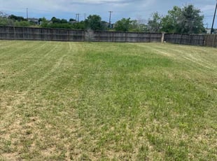 Bush Trimming by Dustin Devall for Maria Z. in Canyon Lake, TX