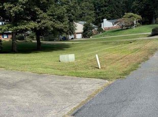 Adrien T.'s Lawn Maintenance service result