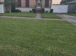 Jerry W.'s Lawn Mowing service result