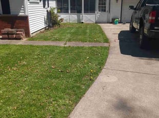 Leaf Removal by Jayson Rice for Phillip P. in Eastlake, OH