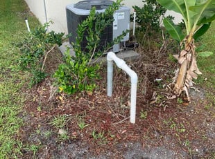 Weeding by Joseph Comerford for David O. in Palm Bay, FL