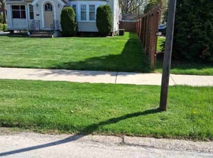 Philip M.'s Lawn Service service result