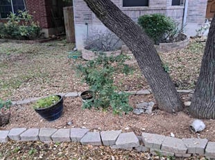 Weeding by Joshua Cabiya for MATTHEW S. in Austin, TX