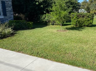 Cleanups by Rupert Mclendon for Brian H. in Tampa, FL