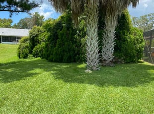 William O.'s Lawn Service service result