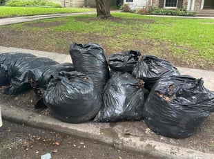 Leaf Removal by Elston Diaz for Nickolaus S. in Dallas, TX
