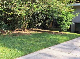 Leaf Removal by Philipp Hoedl for Jerry H. in Pensacola, FL