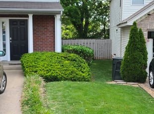 Bush Trimming by Rodrico Thomas for Rebekkah B. in Nashville, TN