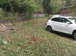 Cleanups by Tyrone Wilkins for Gertrude S. in Takoma Park, MD