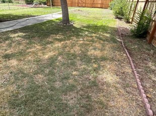 Cleanups by Adameus Marcum for Christopher D. in Denver, CO