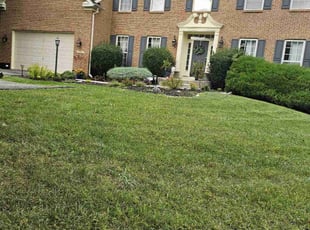 Willie J.'s Grass Cutting service result
