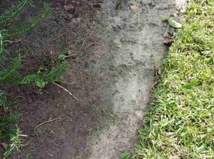 Weeding by James Stuckey for Austin B. in Ocoee, FL