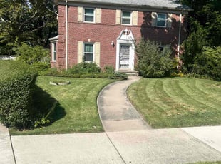 Aaron B.'s Grass Cutting service result