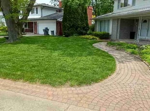 Mary C.'s Lawn Care service result