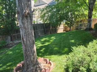Rhonda S.'s Lawn Care service result