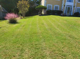 Jamar F.'s Lawn Maintenance service result